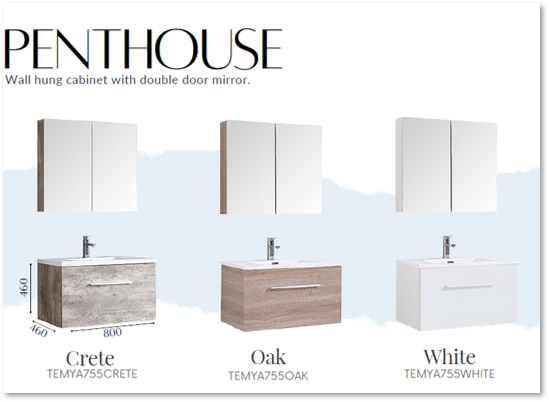 Wall hung cabinet with mirror